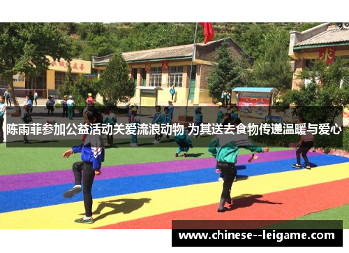 陈雨菲参加公益活动关爱流浪动物 为其送去食物传递温暖与爱心