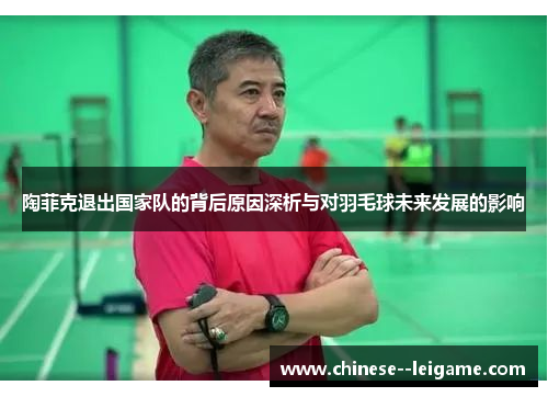 陶菲克退出国家队的背后原因深析与对羽毛球未来发展的影响