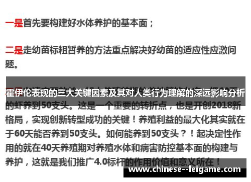 霍伊伦表现的三大关键因素及其对人类行为理解的深远影响分析