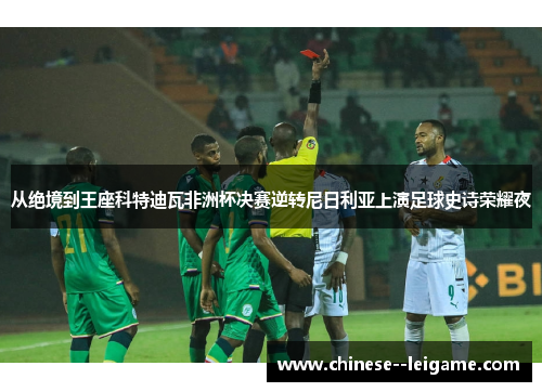 从绝境到王座科特迪瓦非洲杯决赛逆转尼日利亚上演足球史诗荣耀夜