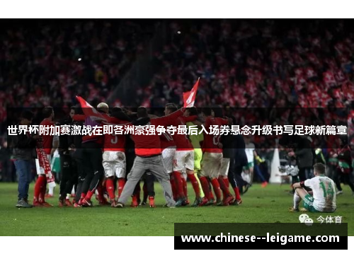 世界杯附加赛激战在即各洲豪强争夺最后入场券悬念升级书写足球新篇章 世界杯附加赛激战在即各洲豪强争夺最后入场券悬念升级书写足球新篇章